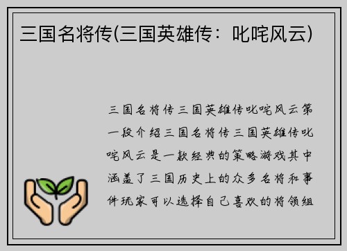 三国名将传(三国英雄传：叱咤风云)